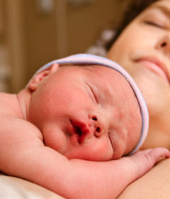 Anne & Bebek