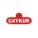 Çaykur