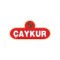 Çaykur